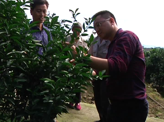 TIM截图20171222115019.png TIM截图20171222115019.png