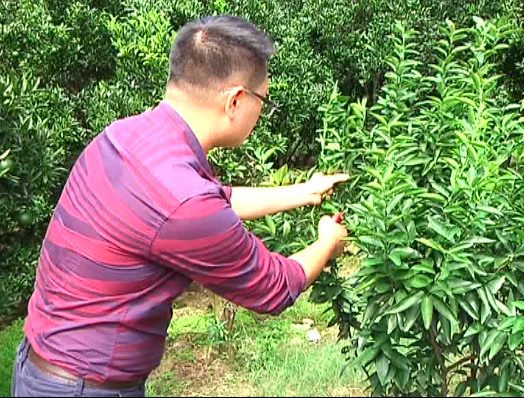 TIM截图20171222115008.png TIM截图20171222115008.png