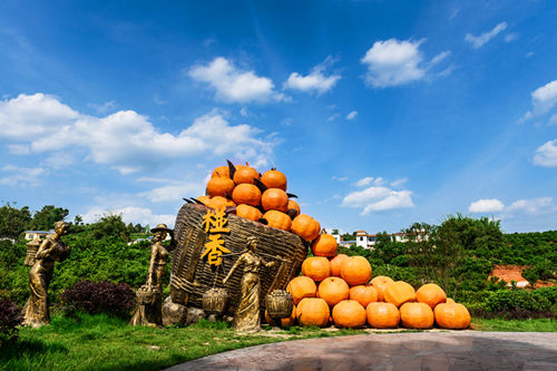 青神、中国椪柑之乡.jpg 青神、中国椪柑之乡.jpg